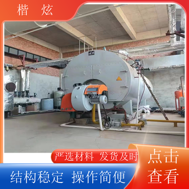 船舶导热油锅炉