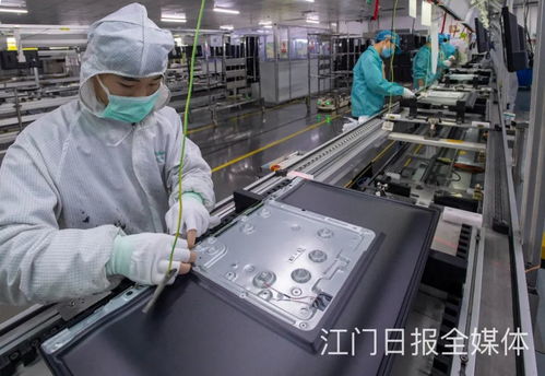 看 蓬江,机器动起来了